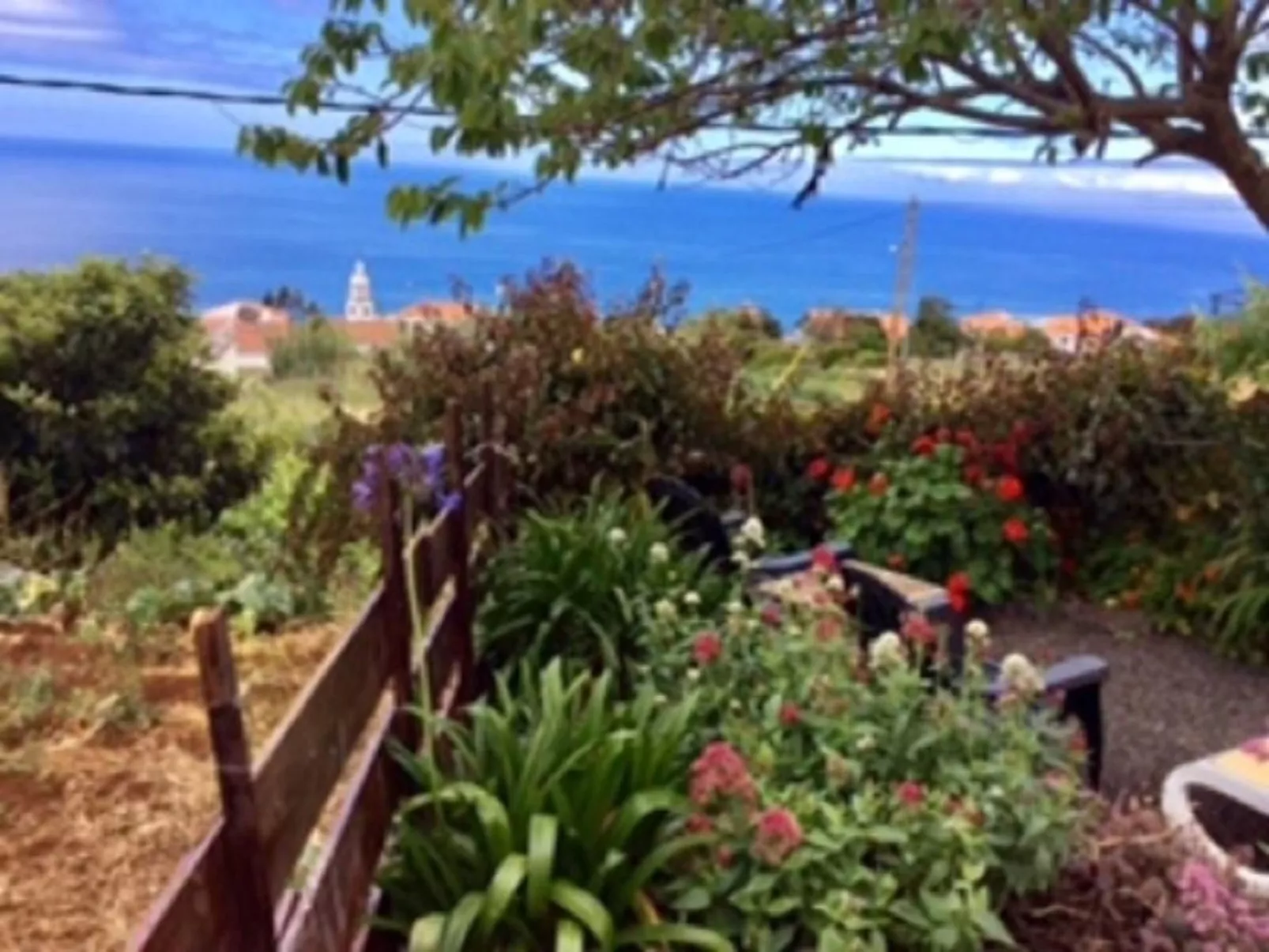 Klein-Norwegen-Image-tags.info