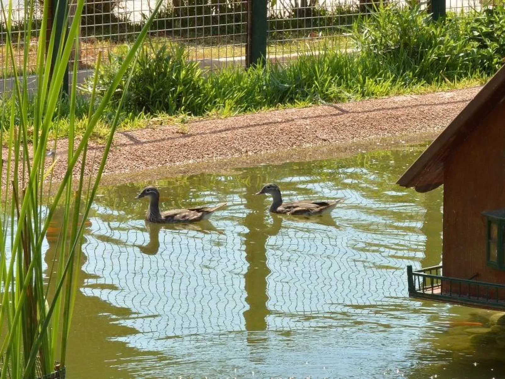 Studio-Appartement mit Terrasse-Image-tags.info