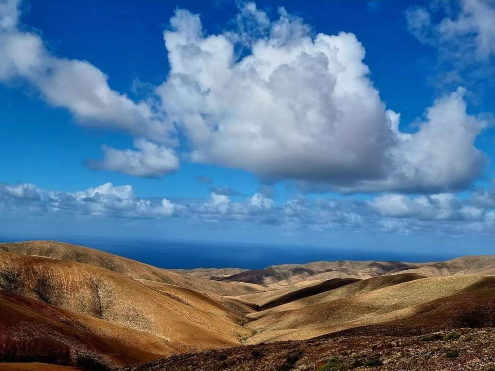 "Casa Freesia-Buiten