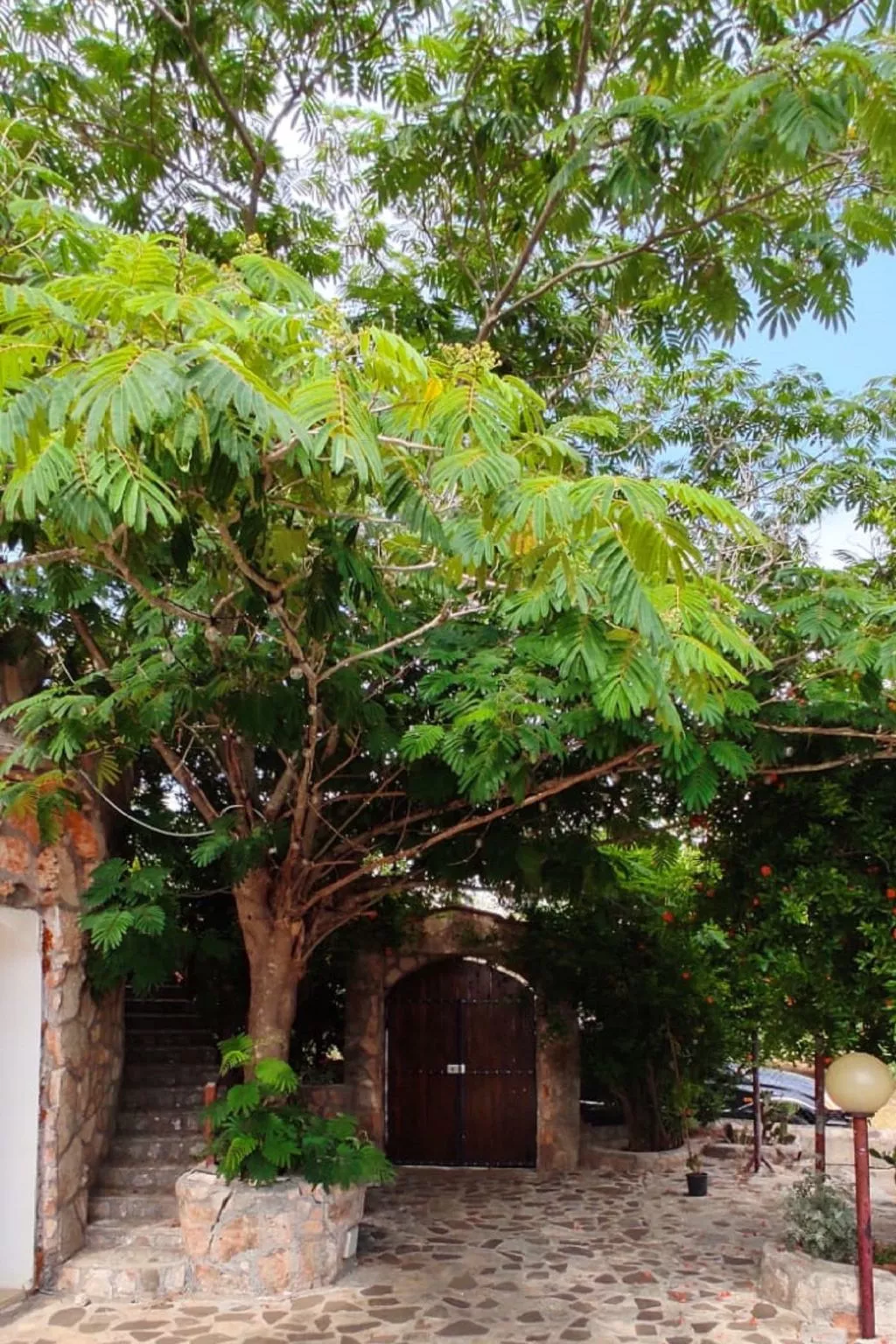 Villa Barone Landhaus mit Pool-Buiten