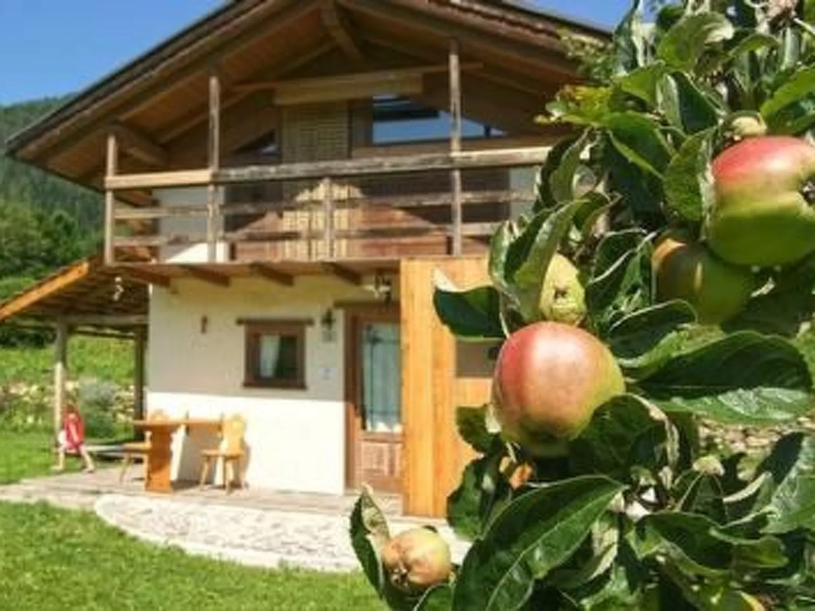 Romantisches Chalet in den Wiesen der Dolomiten-Buiten