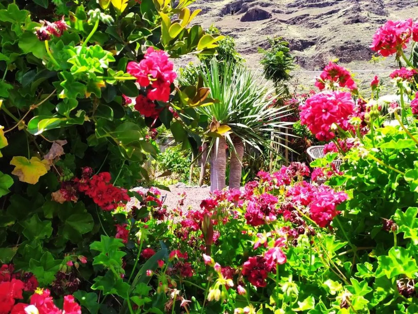 Haus Vista Caldera - Buiten