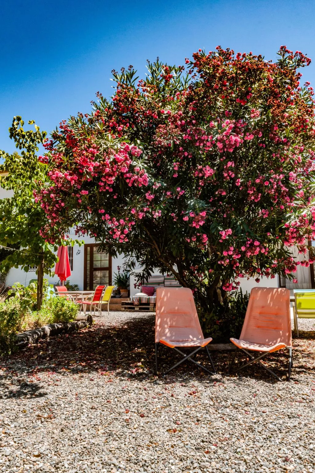 Seeadlerhorst-Buiten