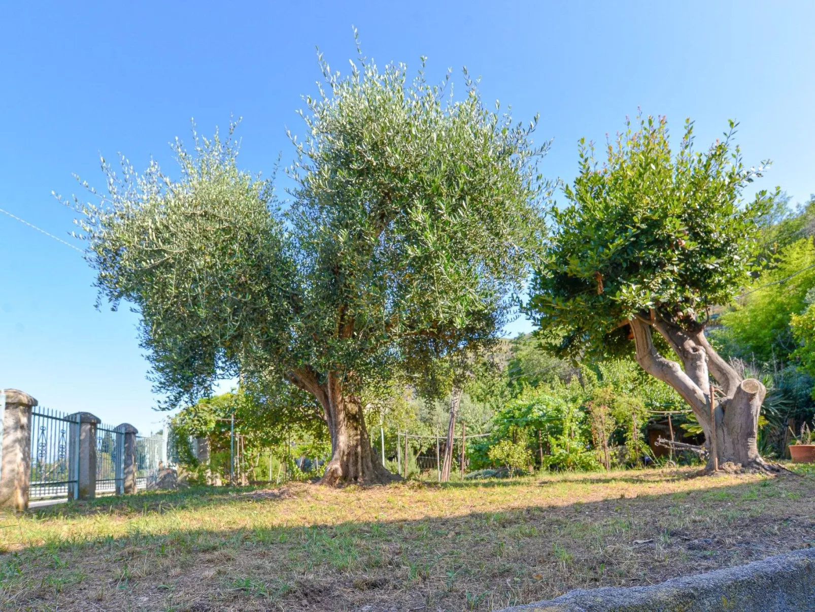 Villa Angela 1 by Holiday World-Image-tags.info