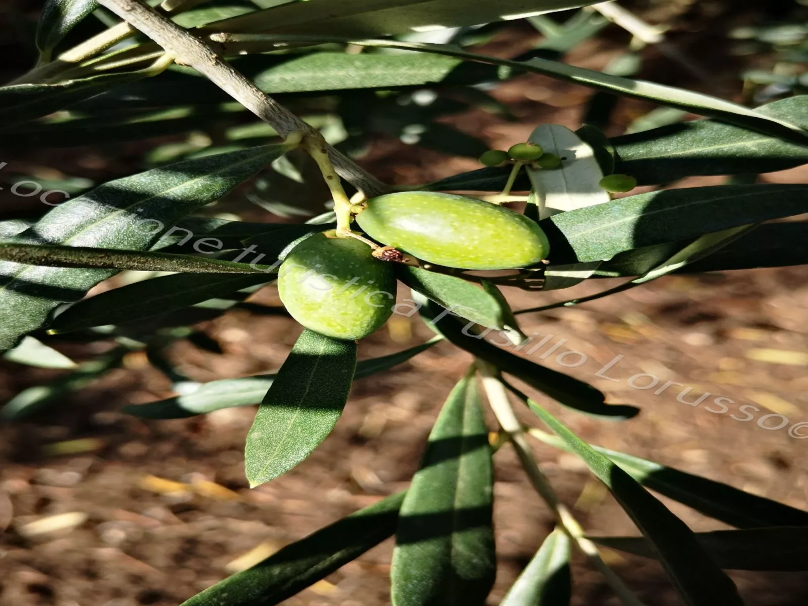 Lorusso touristischer Standort