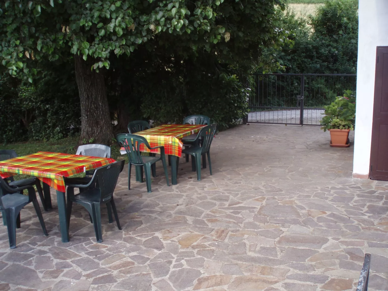 'Allodola'-Image-tags.info