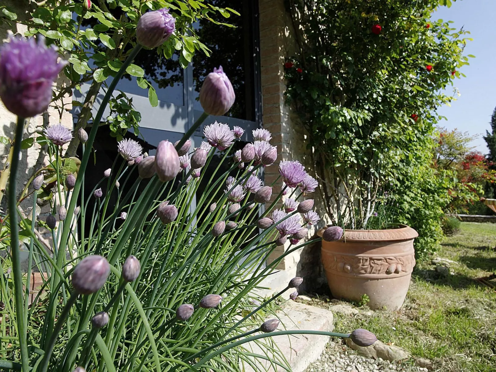 Erta Toskanisches Bauernhaus mit Pool-Buiten