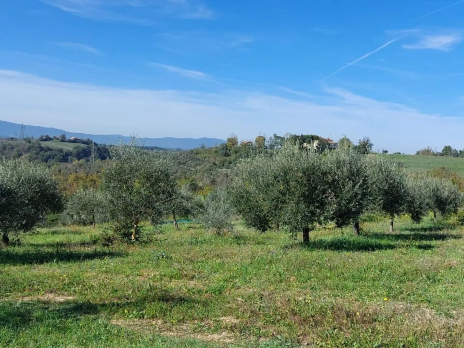 Wohnung in gemütlichem kleinen Bauernhaus-Image-tags.info