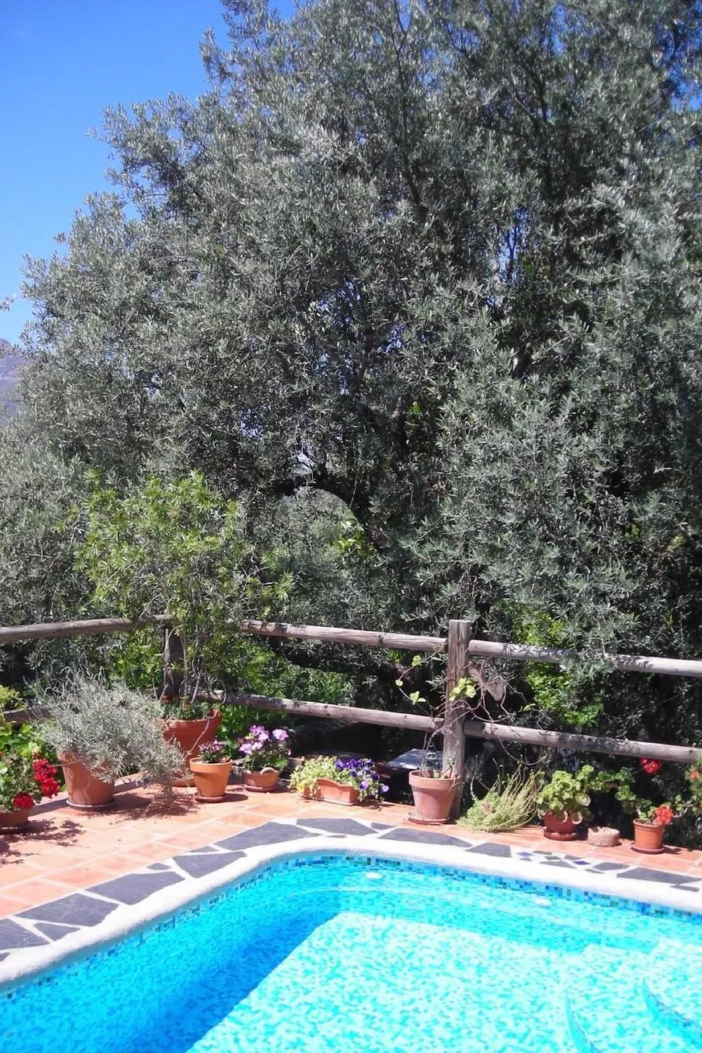 Gemütliches Ferienhaus in Tíjola mit Grill, Garten und Terrasse-Buiten