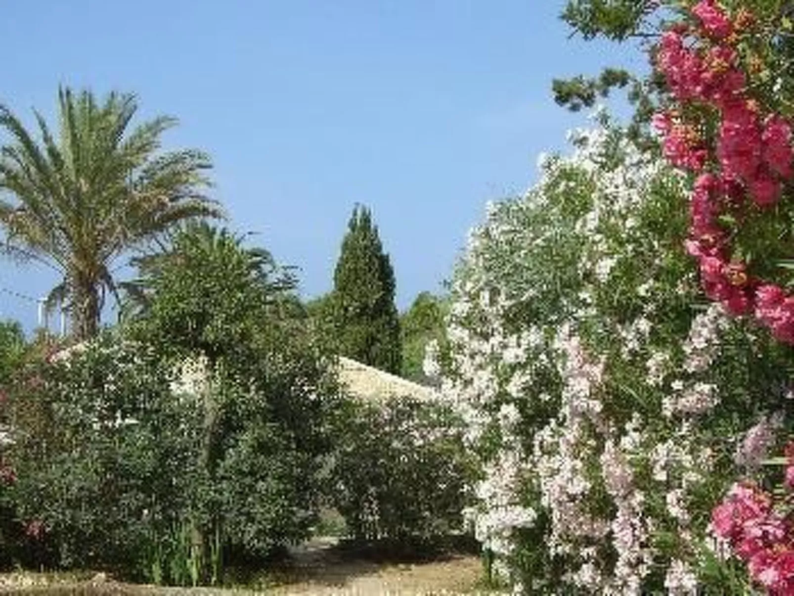 La Perla 5-Image-tags.info