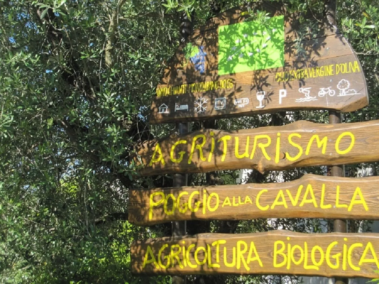 Charmante Wohnung mit privatem Garten-Image-tags.info