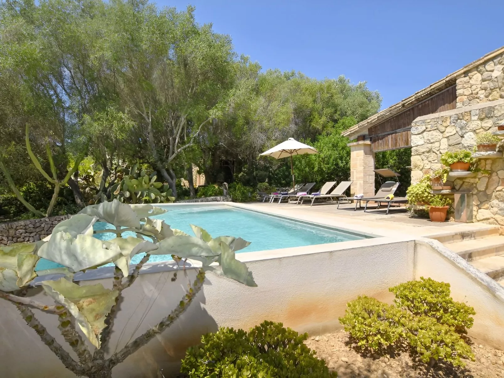 Finca mit Ruhe und Infinity-Pool-Buiten