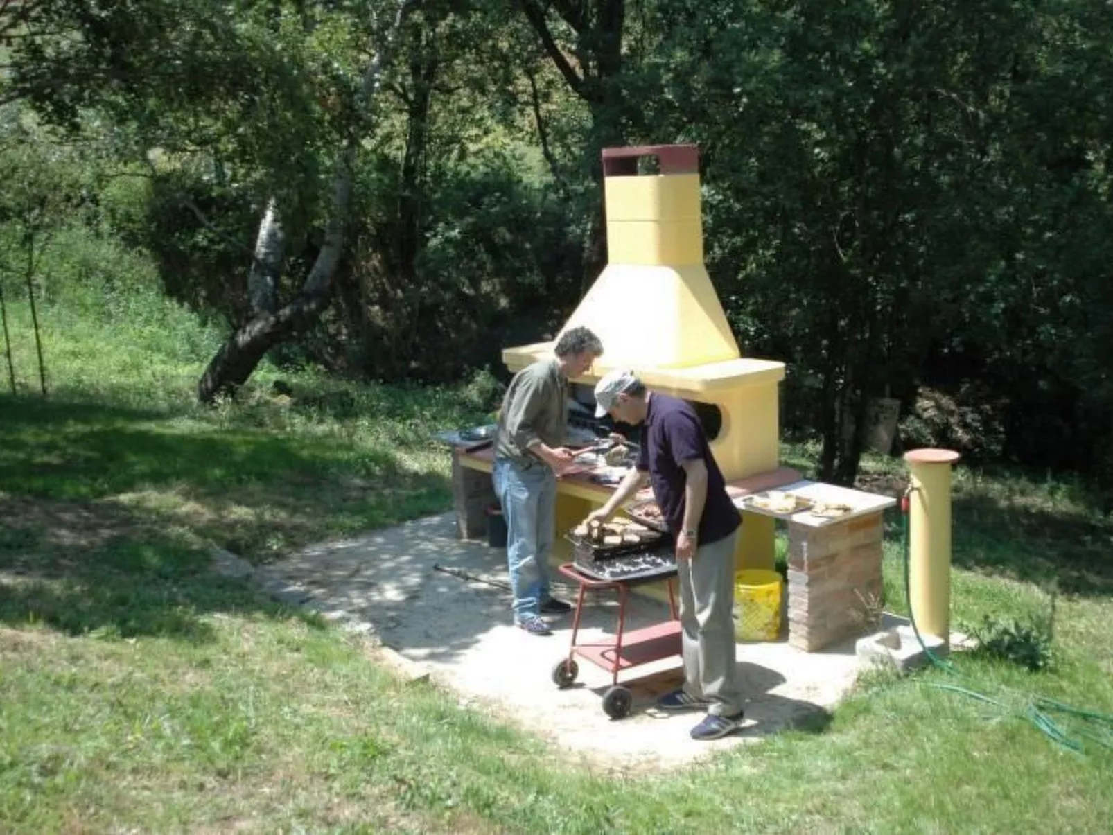 Apartment Rosa Canina (Wilde Rose)-Image-tags.info