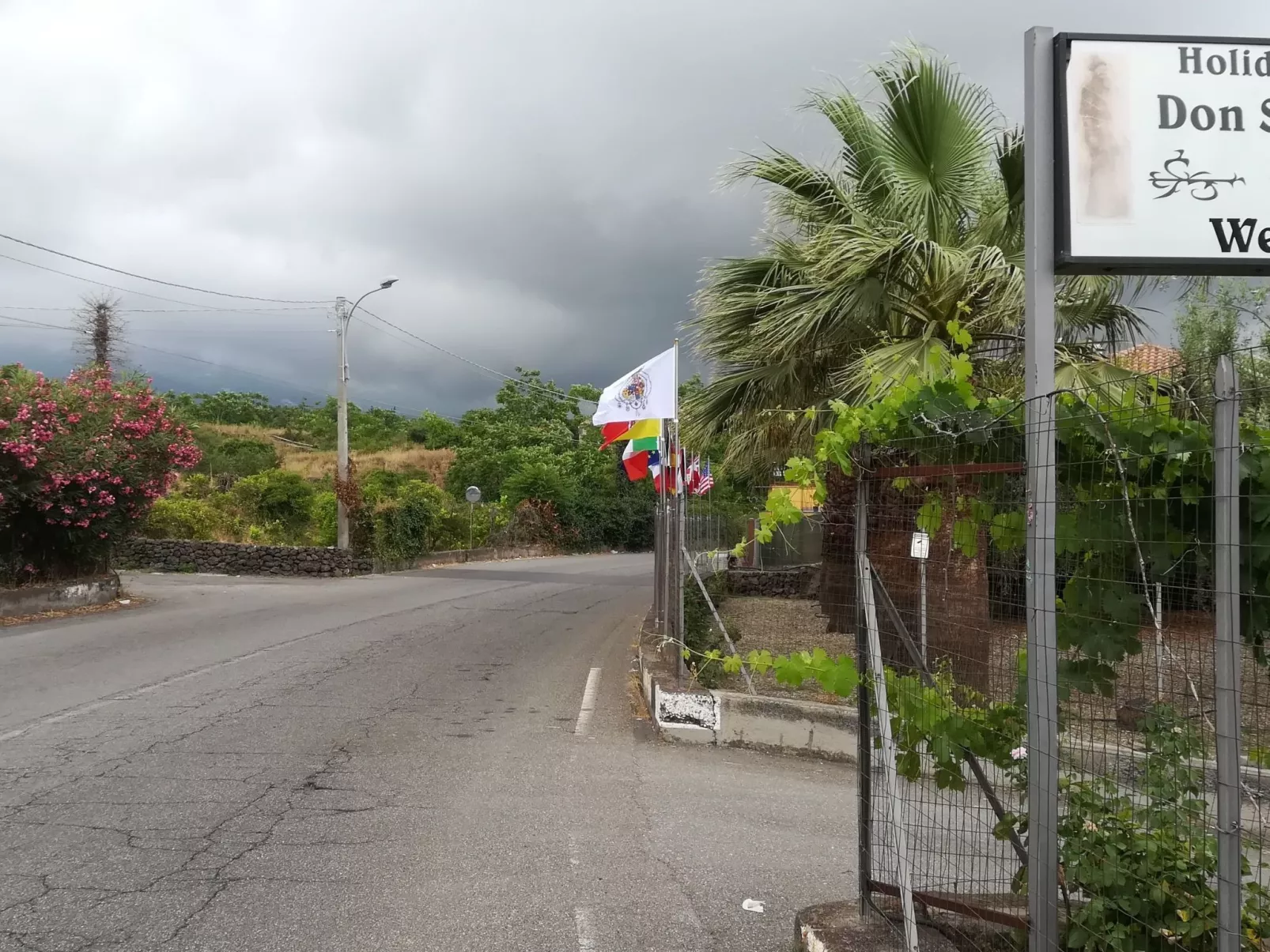 Le Palme in linera-Image-tags.info