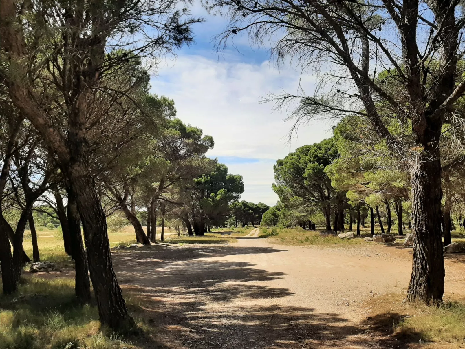 Weingut "Garnacha de Borja".-Buiten