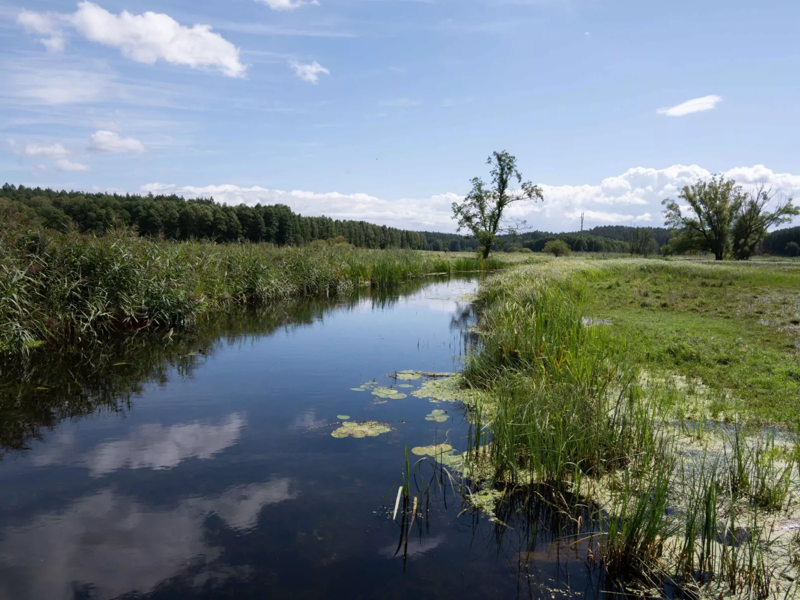Vogelecke - abseits des Trubels und der Hektik-Buiten