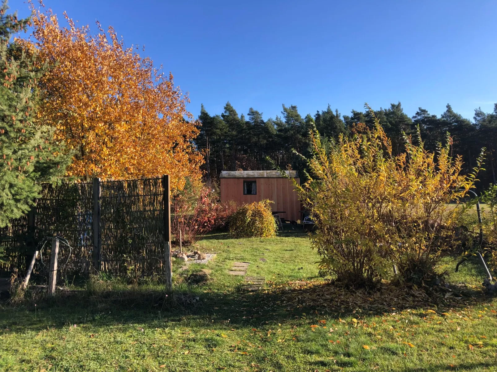 Spitzwegerich-Buiten