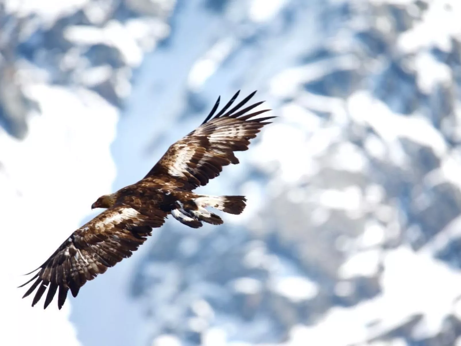 Chesa Thom / ÖV inklusive-Buiten