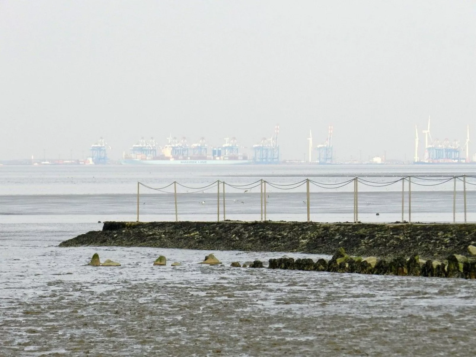 Gesamte Wohnung in Burhave mit Eigener Terrasse-Buiten