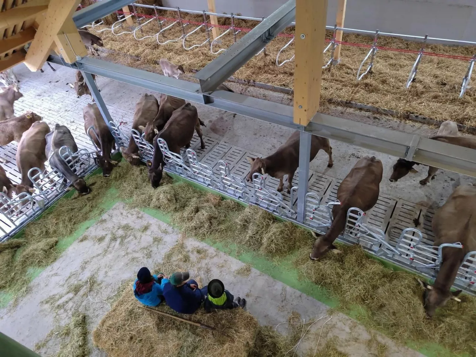 Biohof Langberg-Buiten