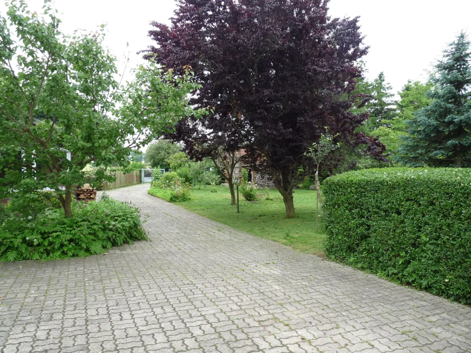 Janet Ratschkowski-Image-tags.info