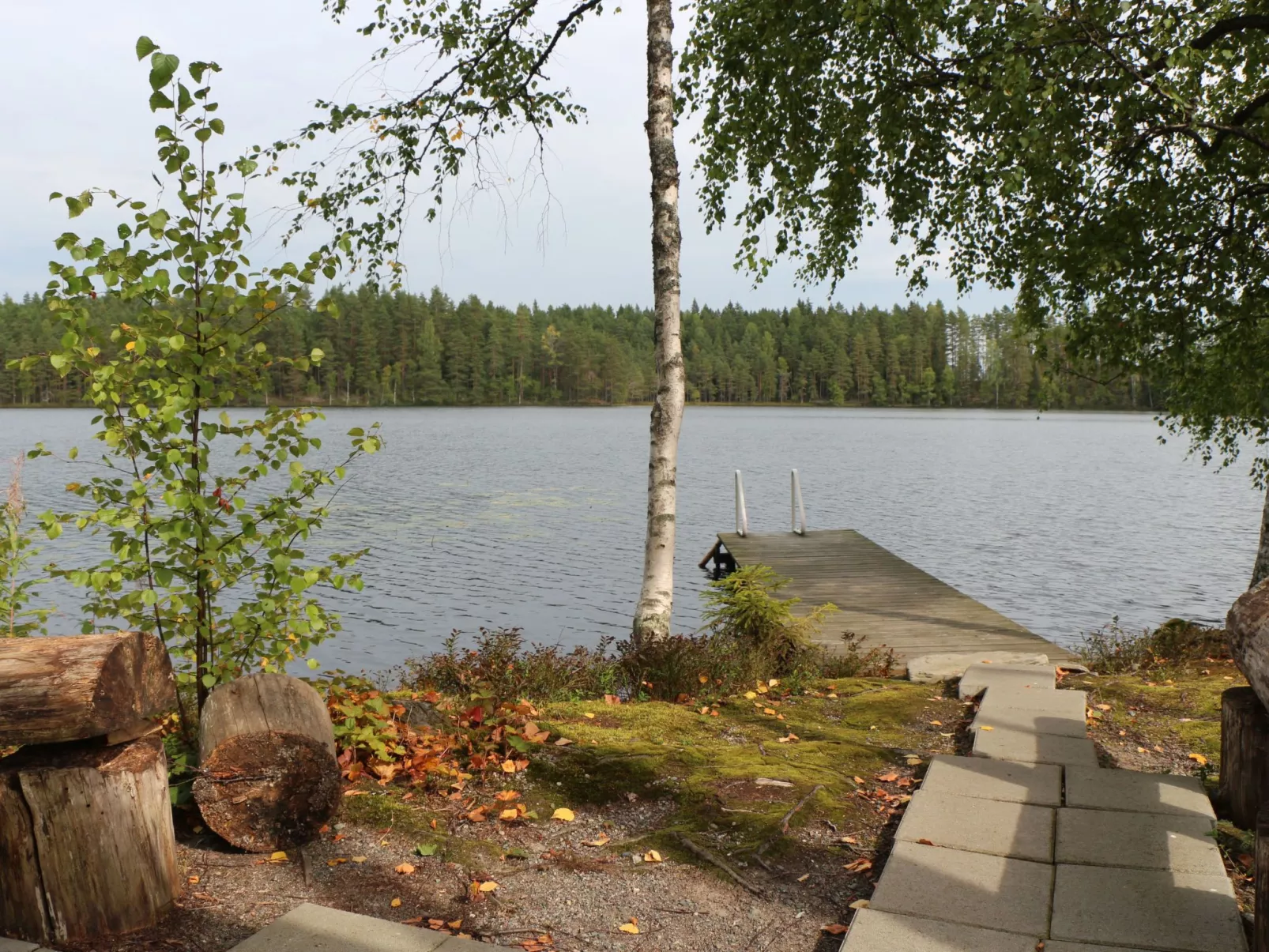 Skandinavisches Ferienappartement inmitten der Natur-Image-tags.info