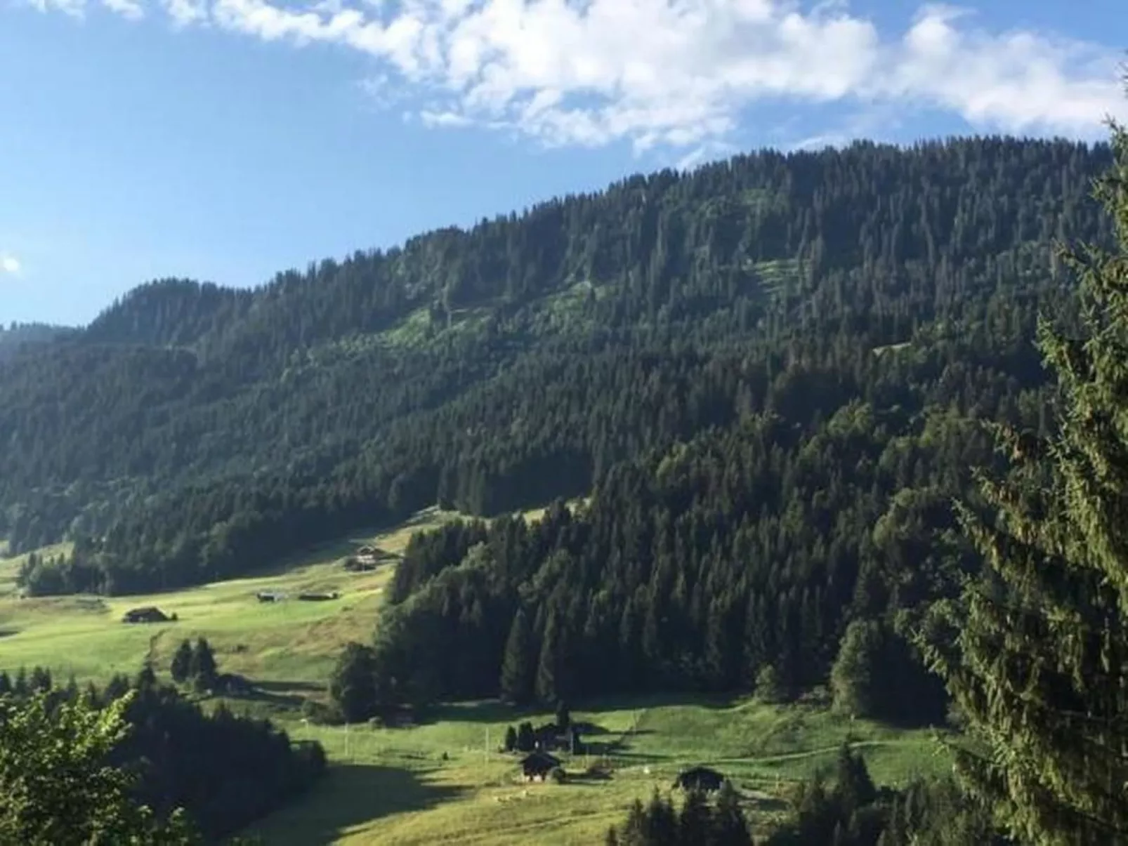 Authentisches Schweizer Alpenchalet aus dem 18. Jh.-Image-tags.info