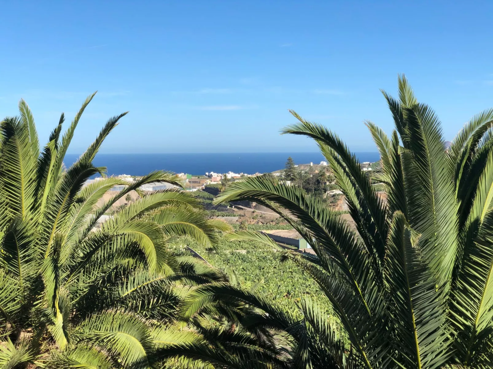 Villa los palmitos Familiäre Privatvilla mit Pool - Buiten