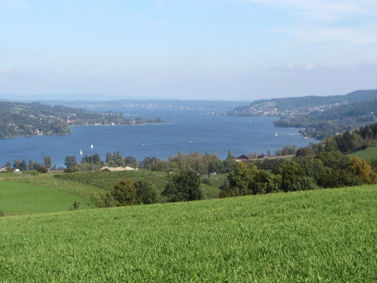 Tieroase Grünegg-Buiten