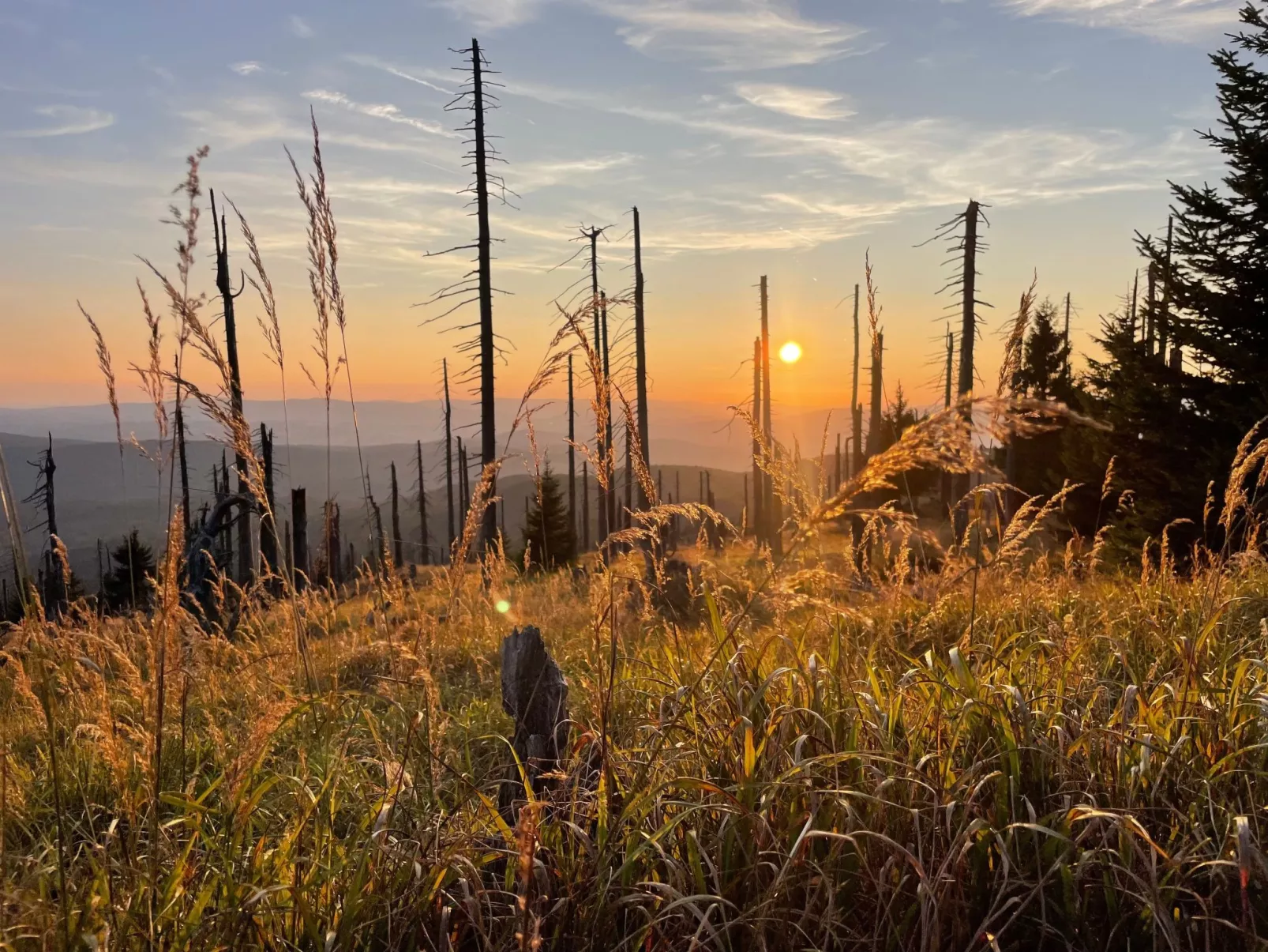 Landhaus Wildfeuer-Buiten