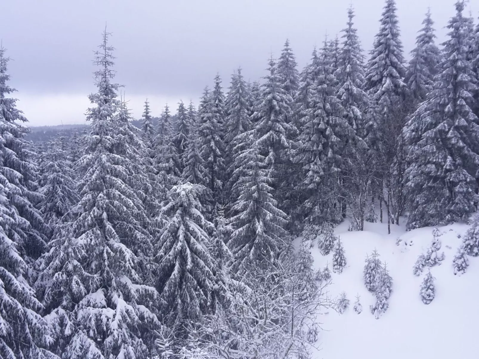 Thüringer Landhaus-Image-tags.info