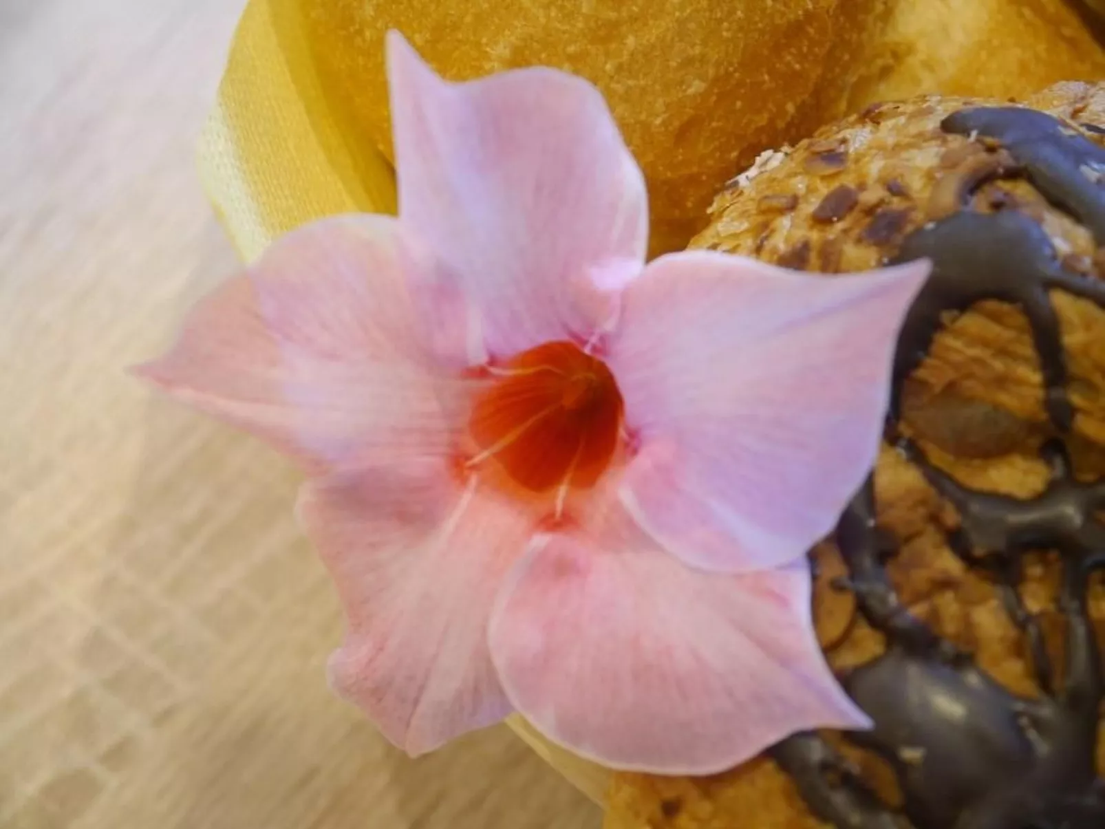 FeWo Siebert-Image-tags.info