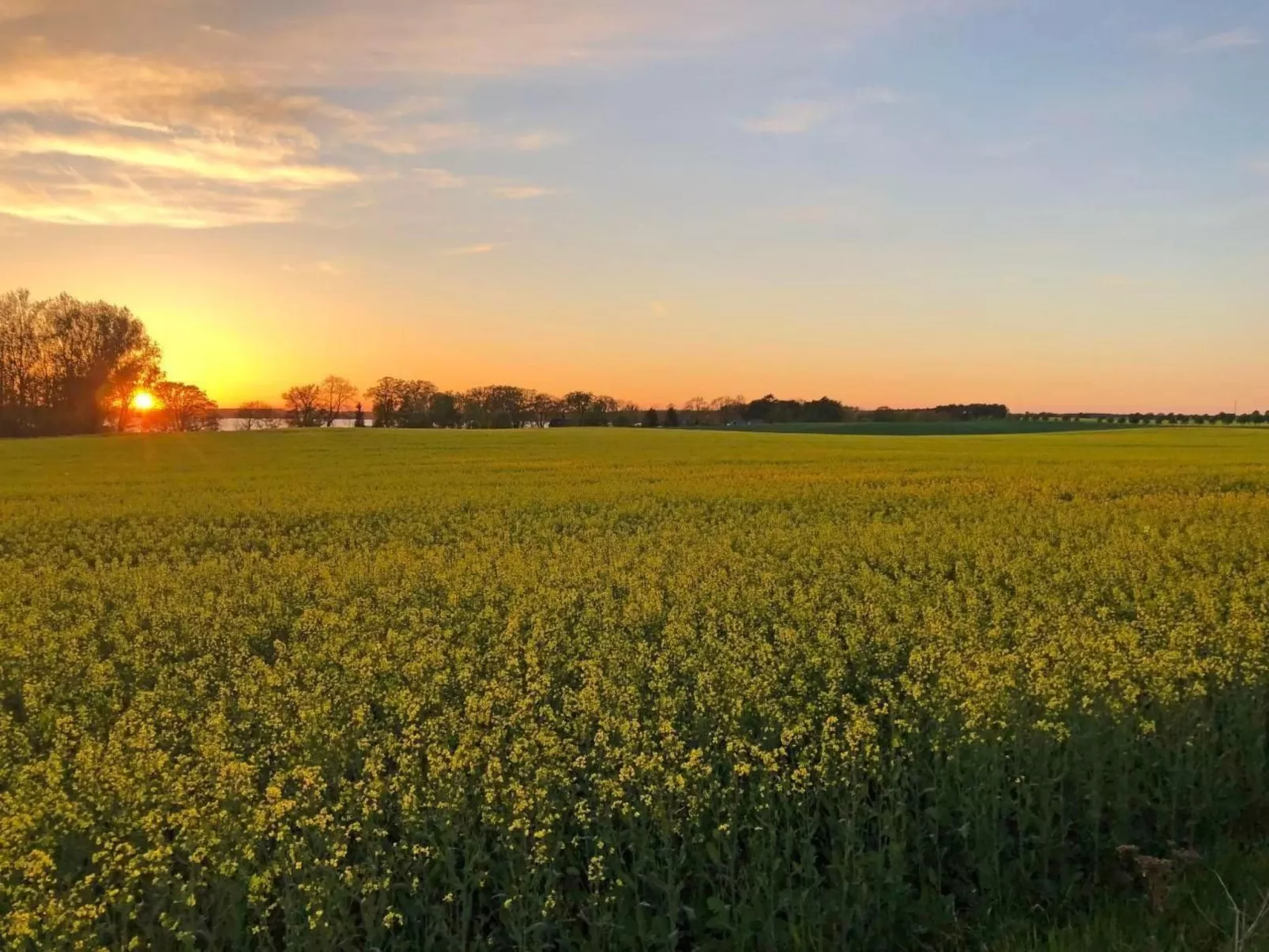 Müritz Ferienhaus-Buiten