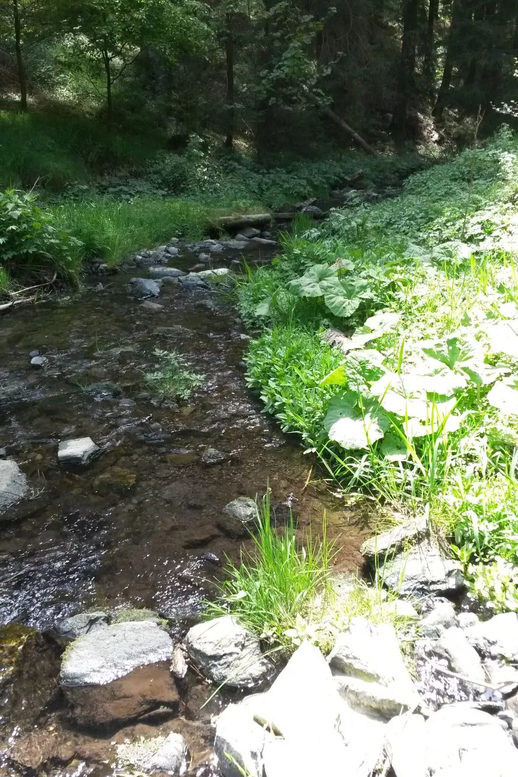 Für 6 Personen im Thüringer Wald-Buiten