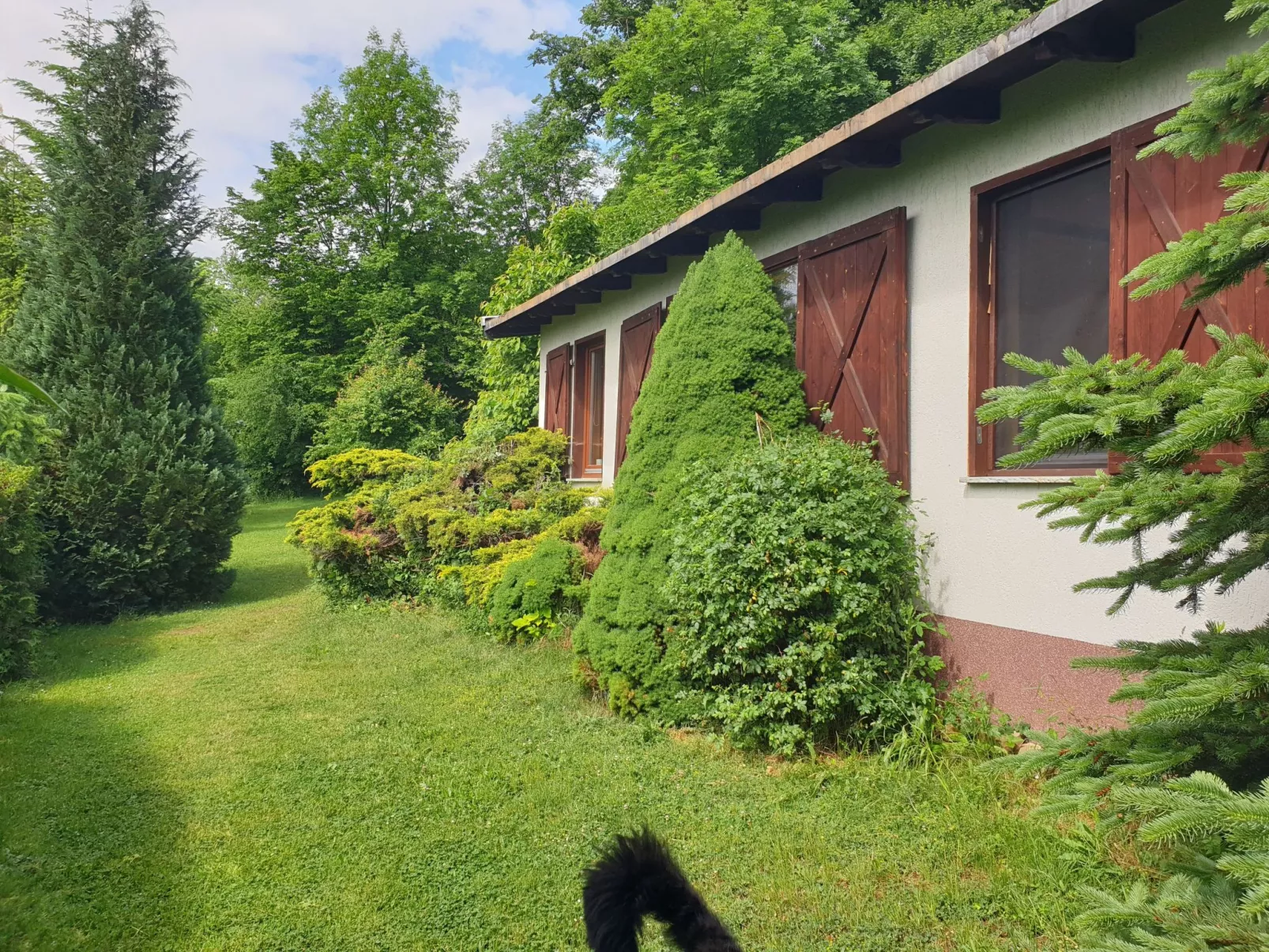 Buchengrund-Image-tags.info