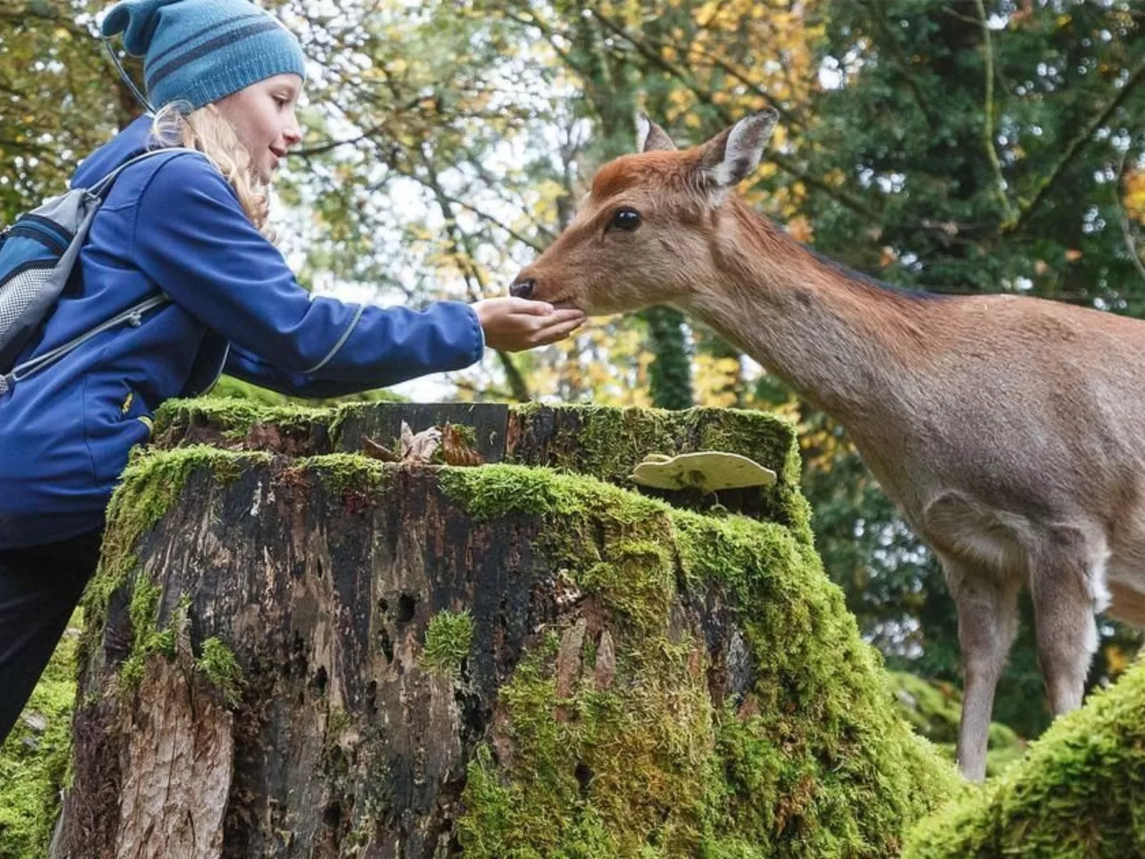 Brunni-Alpthal direkt an den Mythen-Bergen-Image-tags.info
