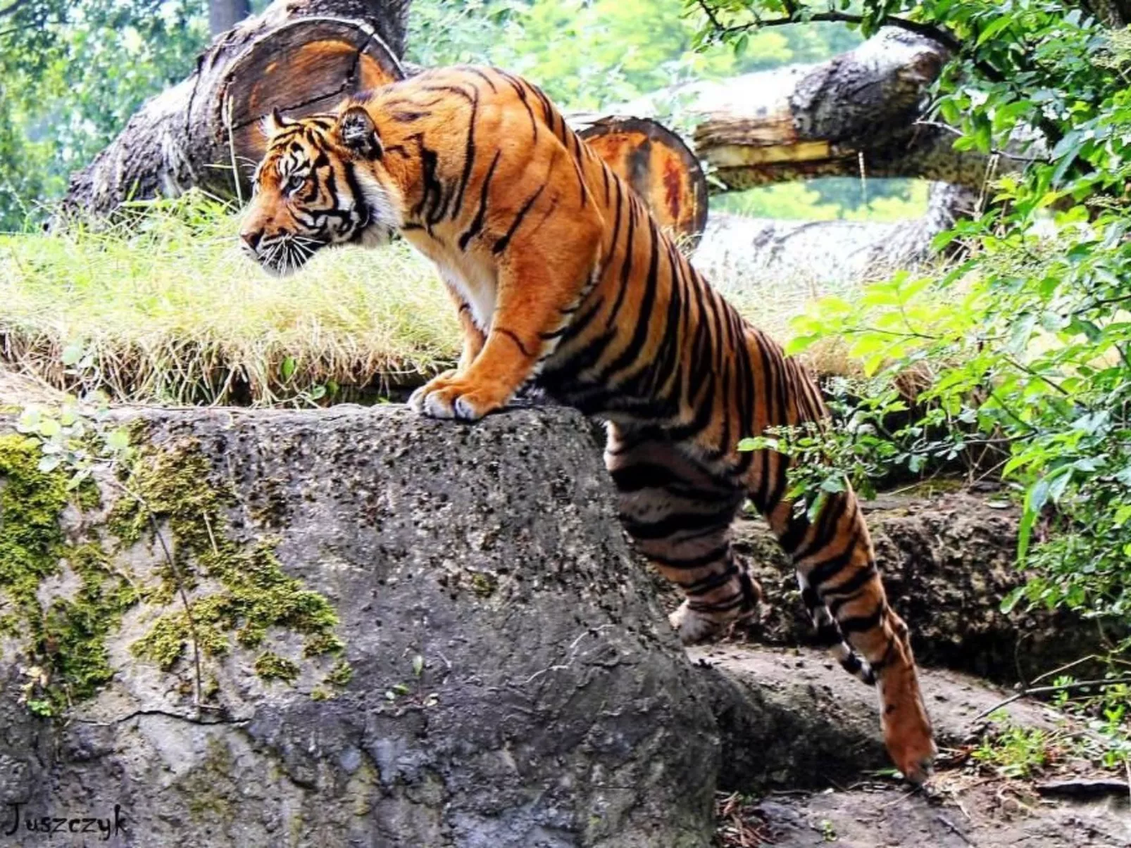 BESSERER PLATZ: Klassisches Warschau-Buiten