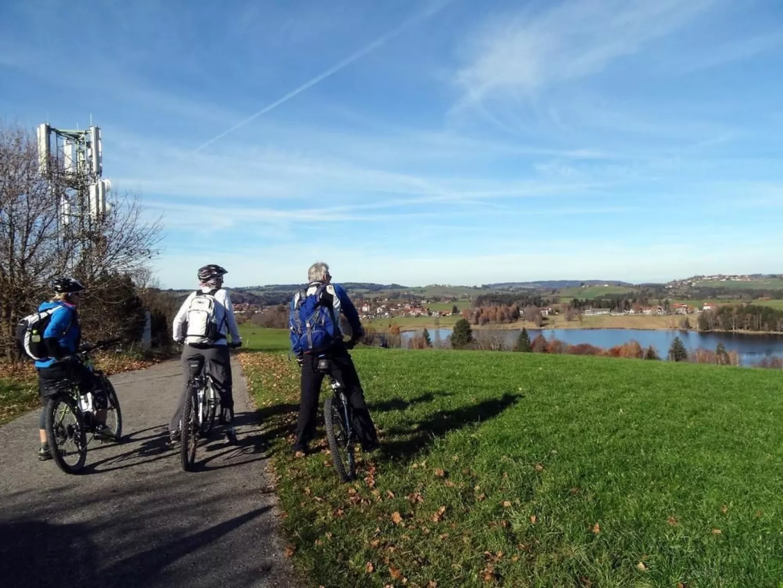 Igel-Image-tags.info