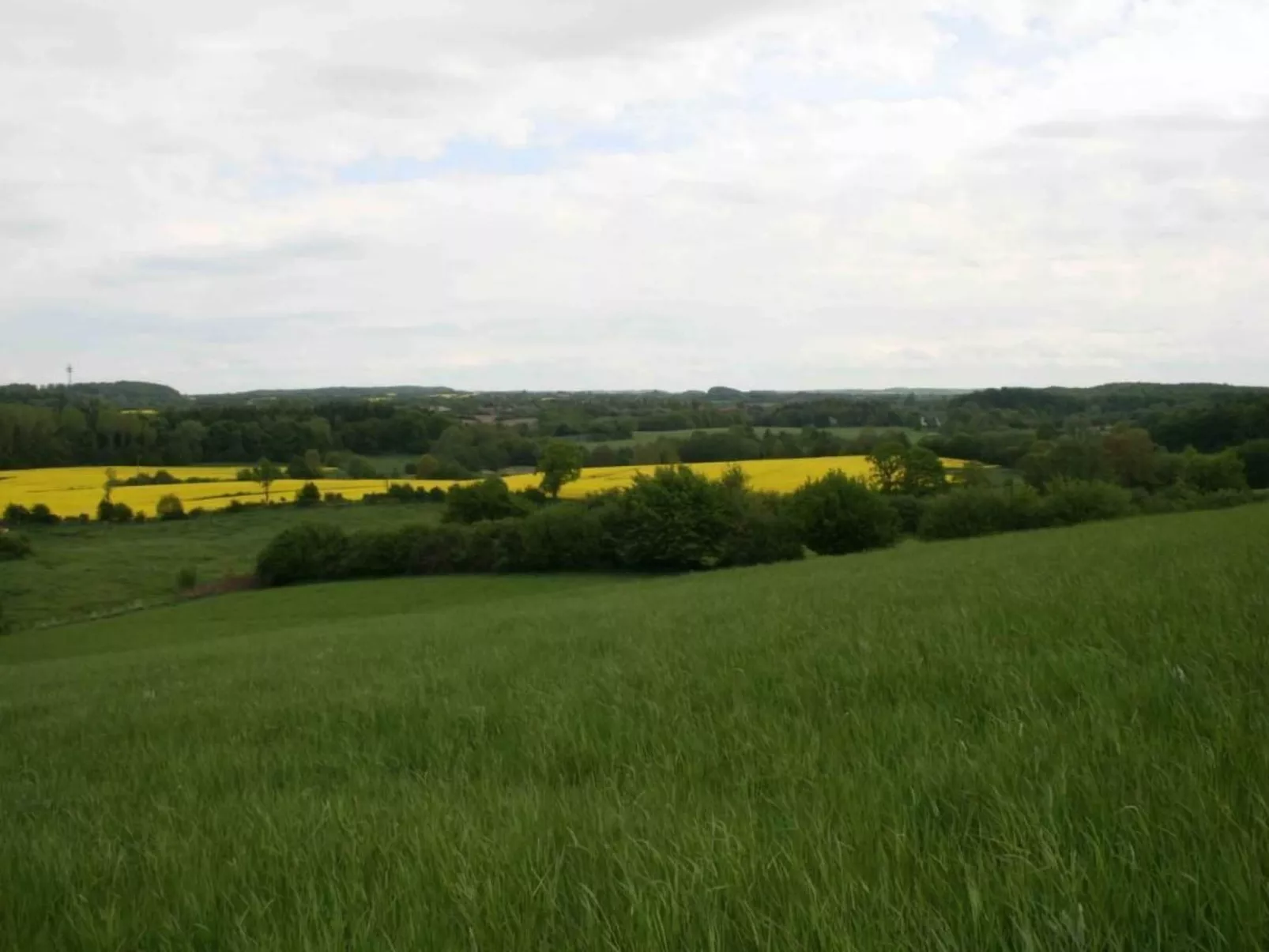 Hof Rodenkrog Fewo 2-Buiten