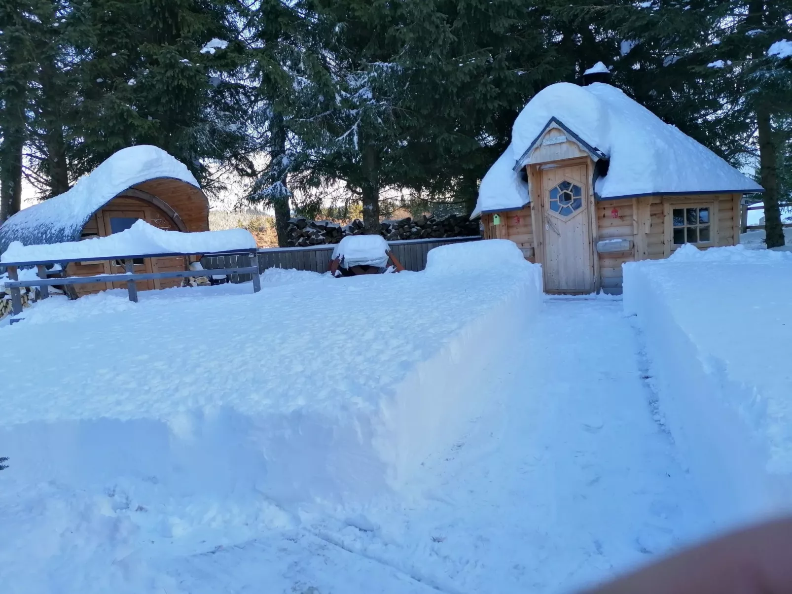 Neuper-Image-tags.info