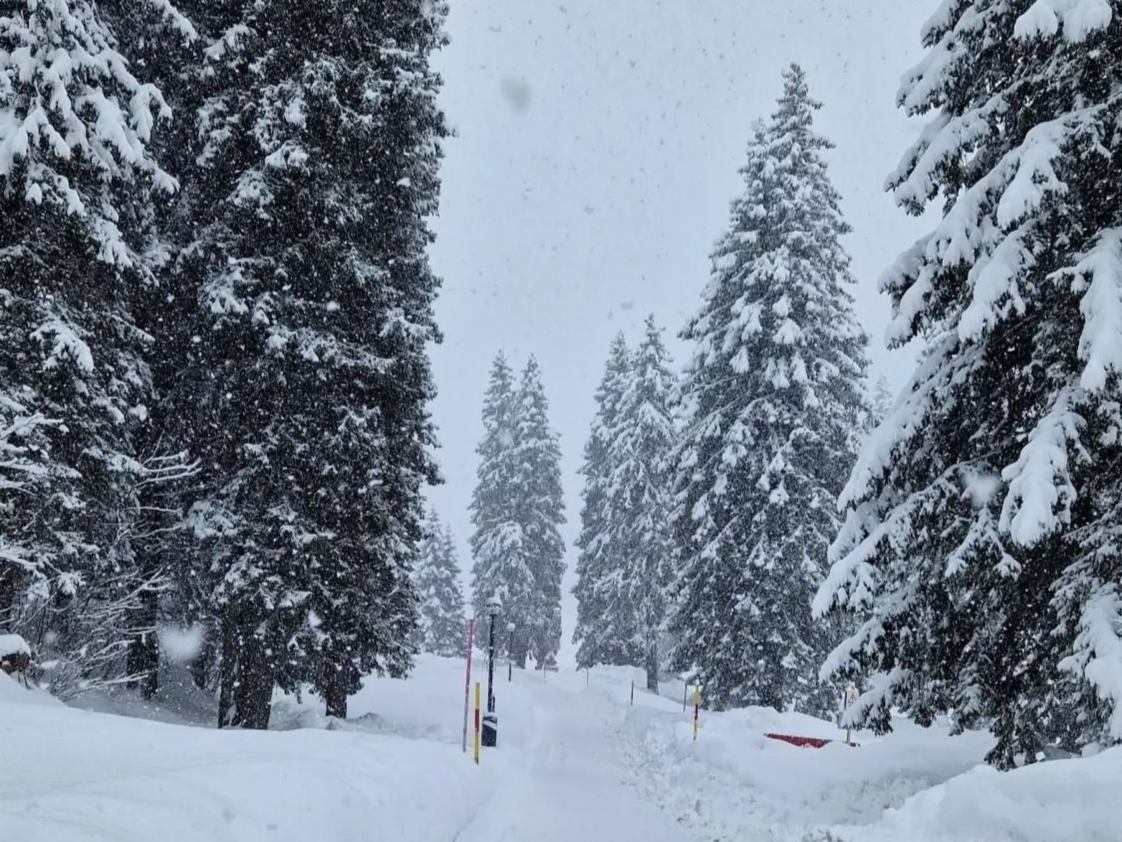 Wohnung Bella vista & Alp'sport-Buiten