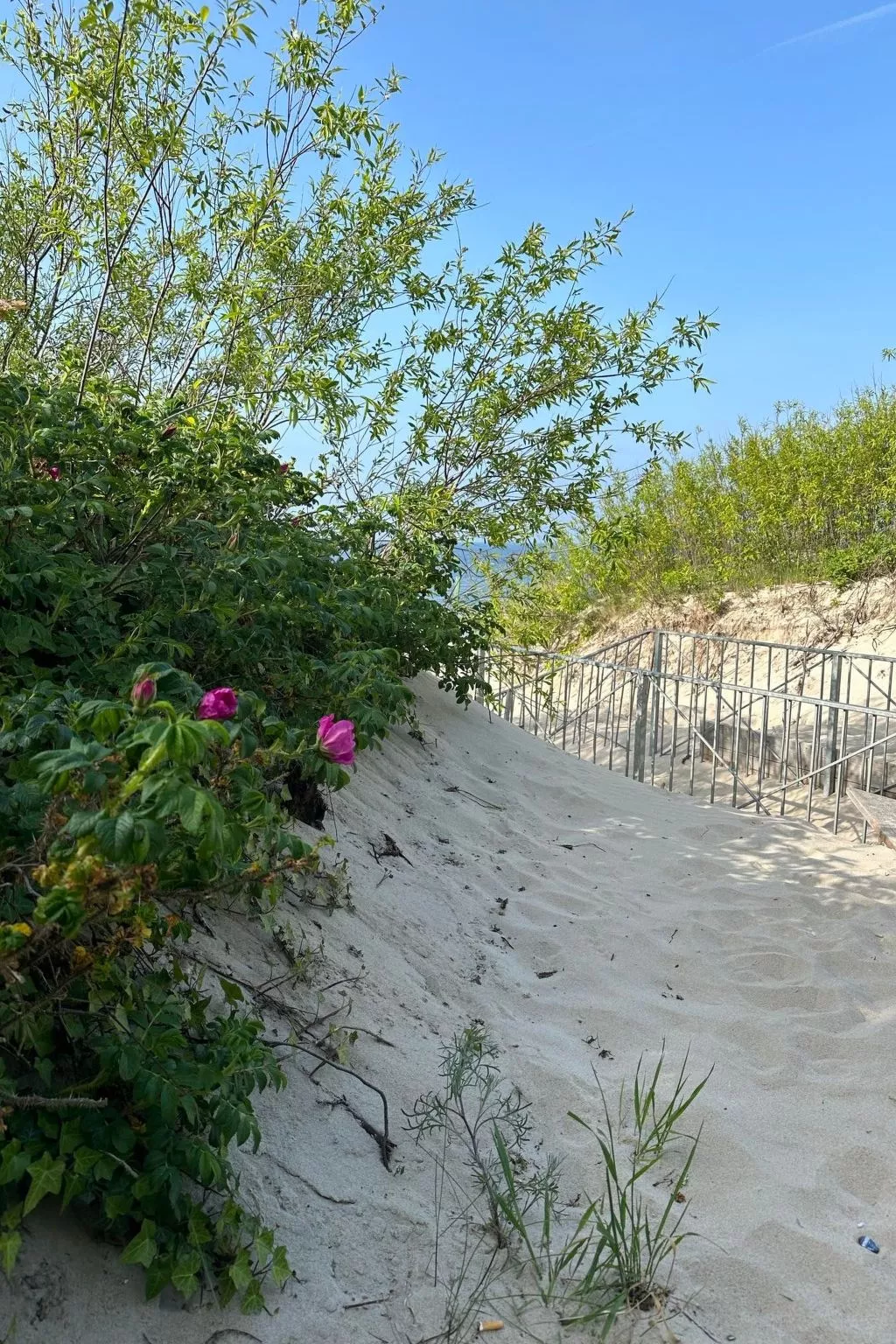 Welle in Dziwnow-Buiten