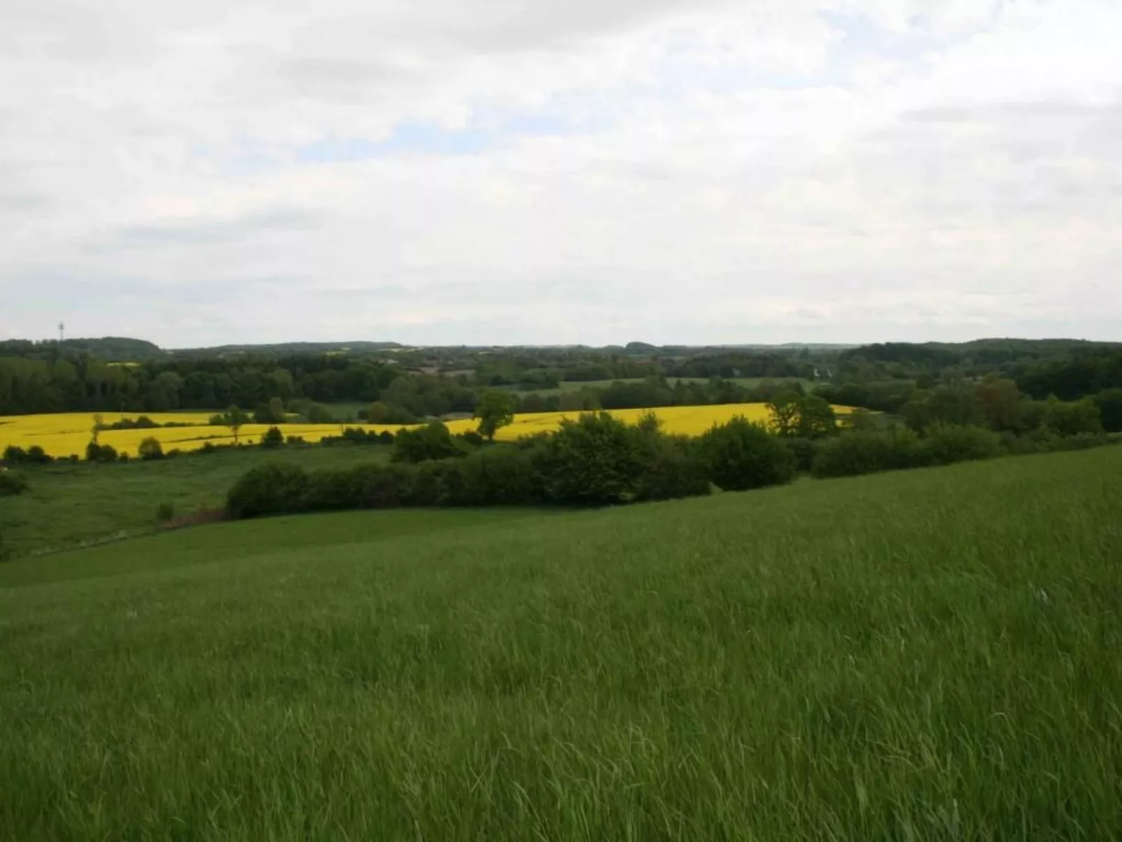 Hof Rodenkrog Fewo 1-Buiten
