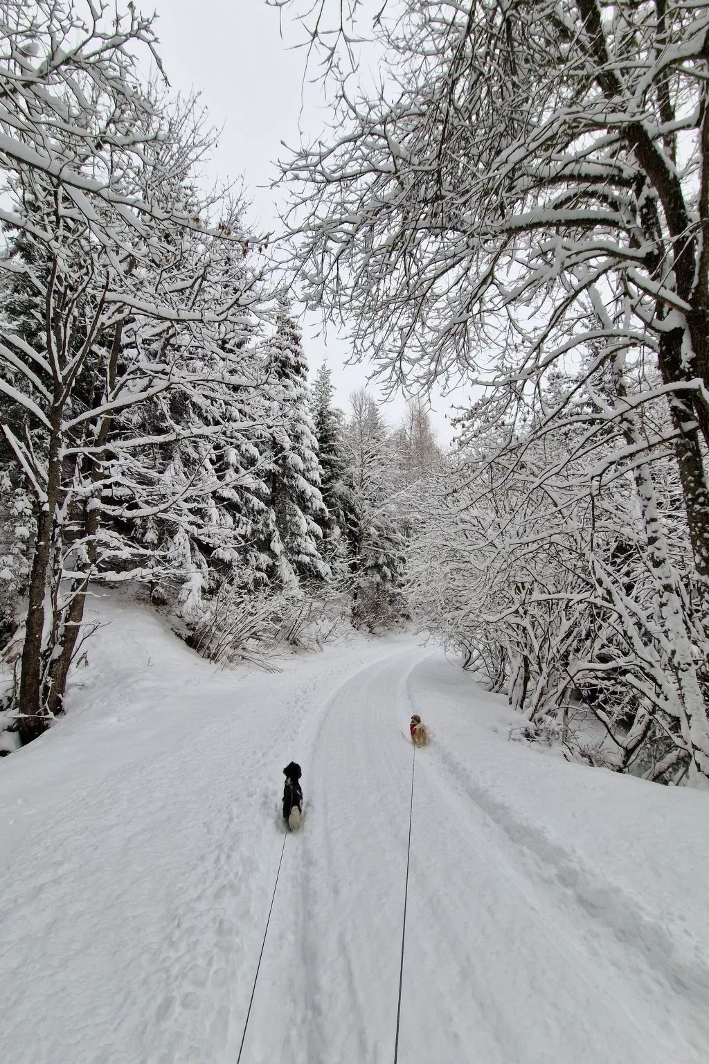 Knusperhäuschen Maria Nikolett in Wolfsberg-Buiten