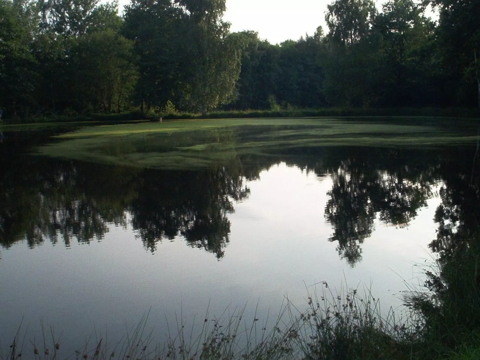 Fewo Stricker 31-Buiten