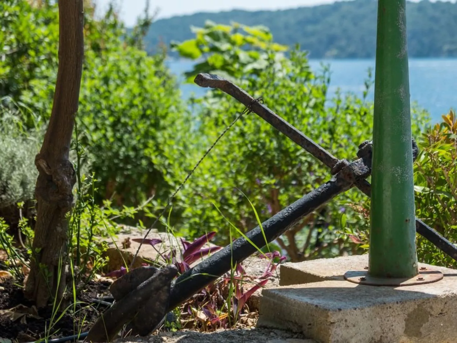 Villa Magnolia – Apartment Magnolia-Buiten