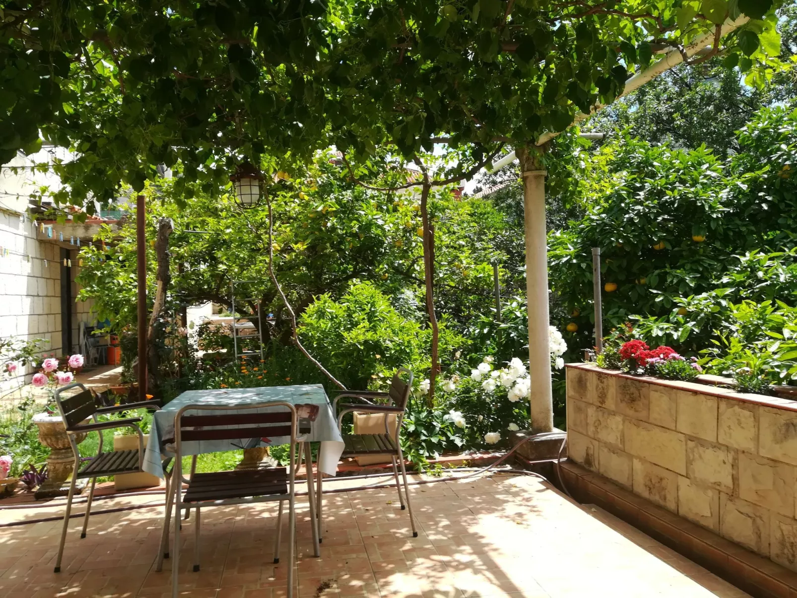 Für 3 Personen ca. 30 m&sup2; in Dubrovnik, Dalmatien (Dubrovnik-Neretva)