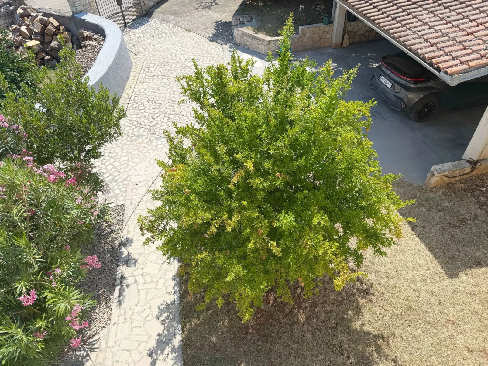 LacoDeLama mini resort - Wohnung Pina mit Pool-Buiten