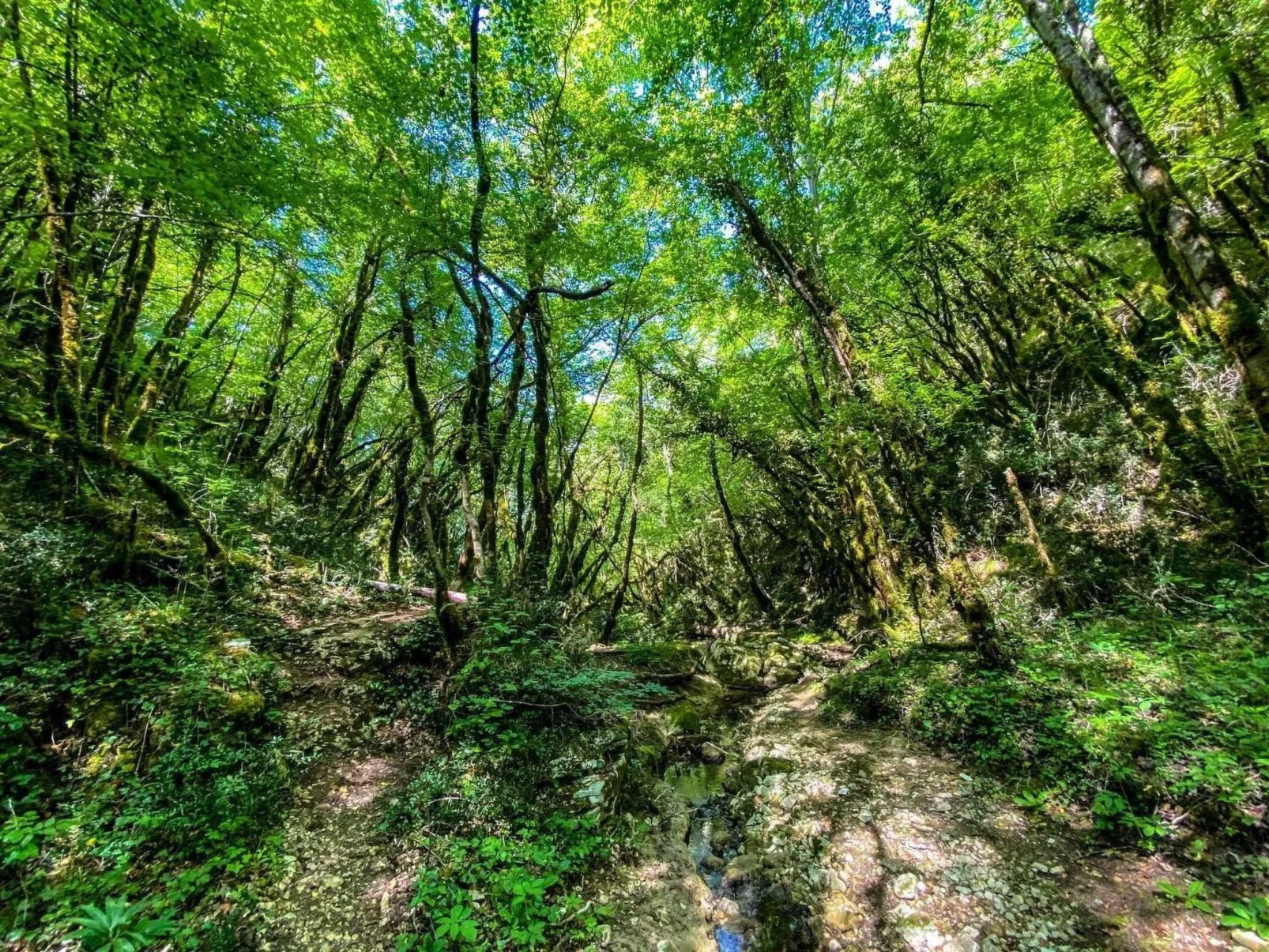 Wunderschöne Ferienwohnung in Ližnjan mit Garten, Grill und Terrasse-Buiten