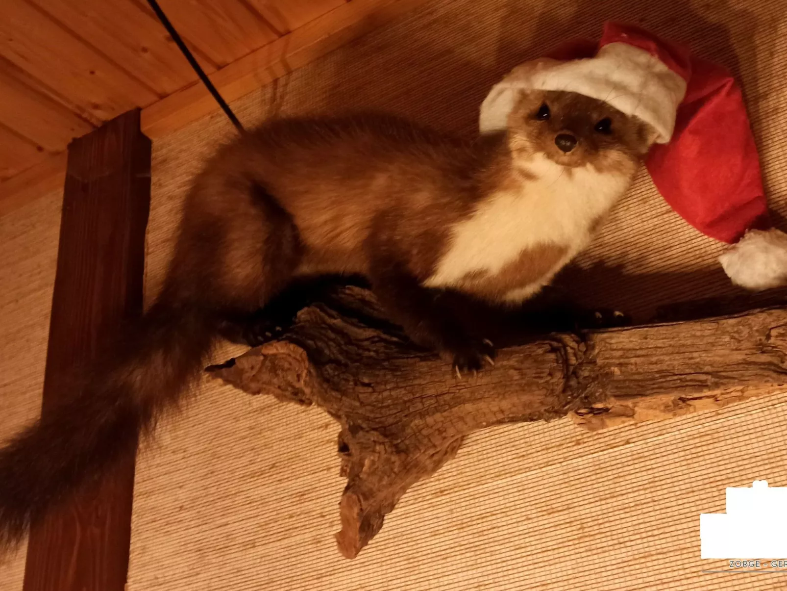 Authentisches Fachwerkhaus am Rande des Waldes-Image-tags.info